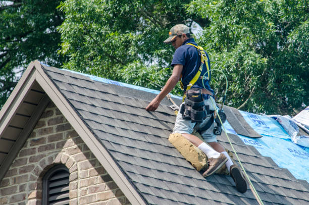 Best Gutter Installation and Roofing  in Horn Lake, MS